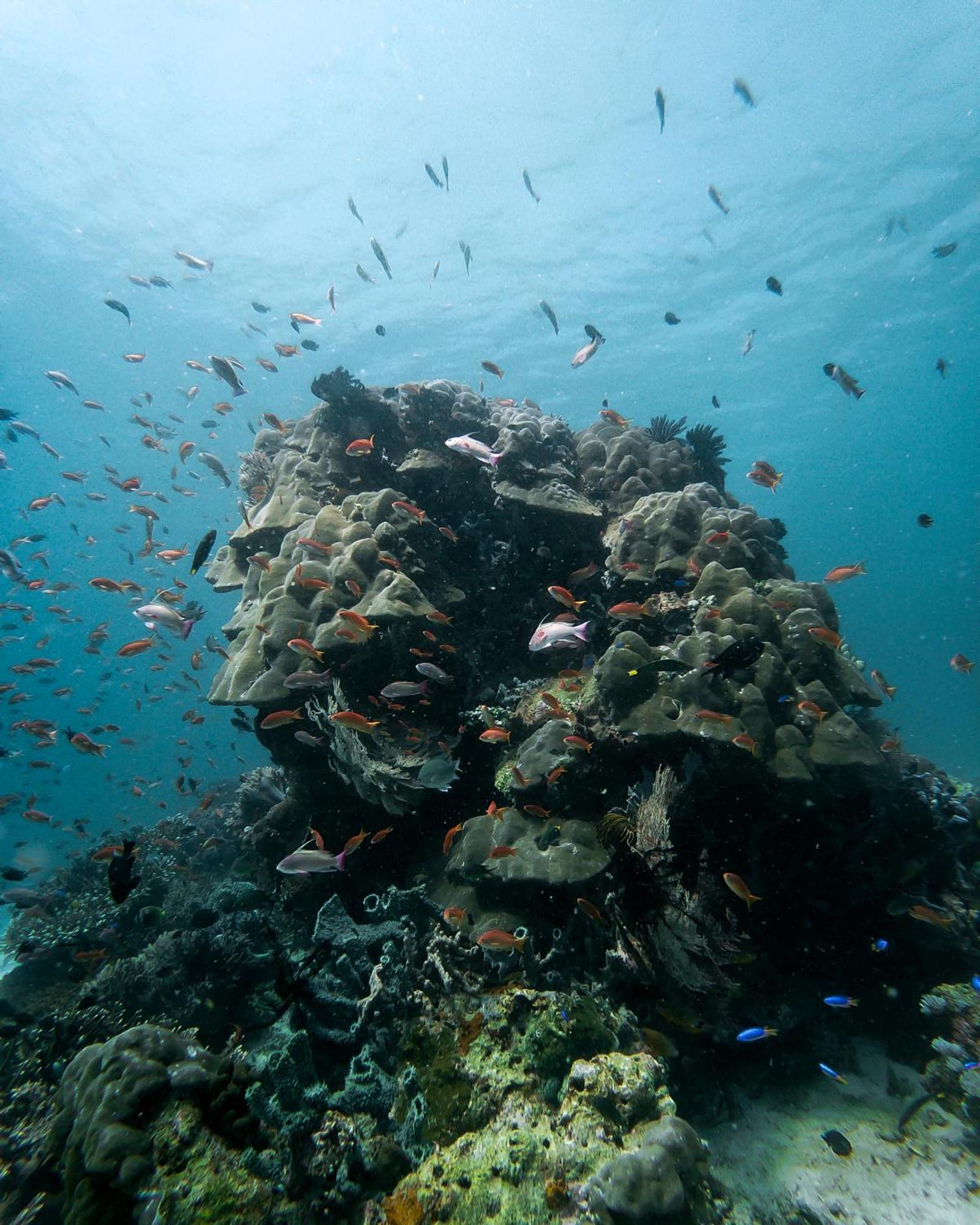 Hotel Menjaga Bay Labuan Bajo Esterno foto